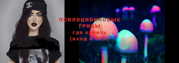 мдпв Богданович