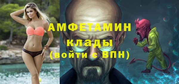 мдпв Богданович